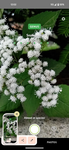 Screenshot showing Genus designation for the Flower