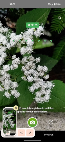 Screenshot showing Species designation for the Flower