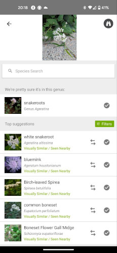 Screenshot showing most specific classification made and visually similar and nearby species.