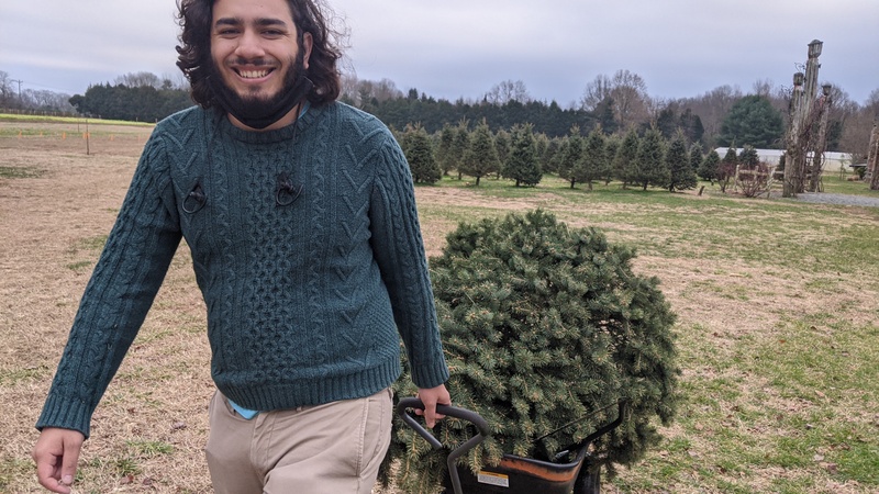 Brandon hauling his tree in a cart.